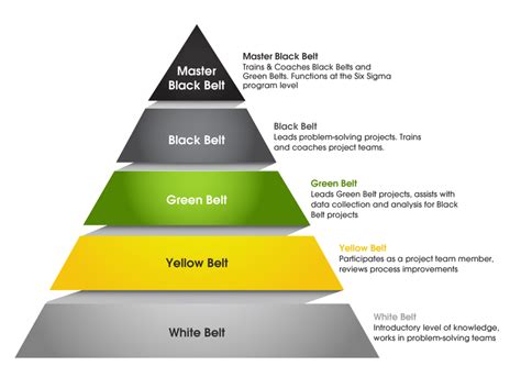 Six Sigma Green Belt vs. Black Belt Certification