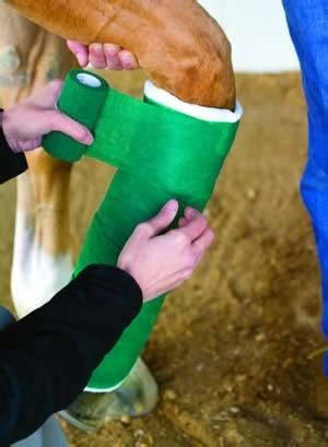 Six Splinting Techniques - Western Horseman