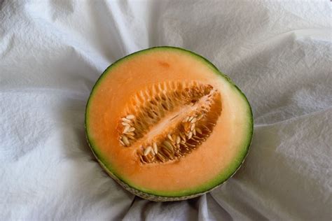 Six deaths now reported in cantaloupe salmonella outbreak