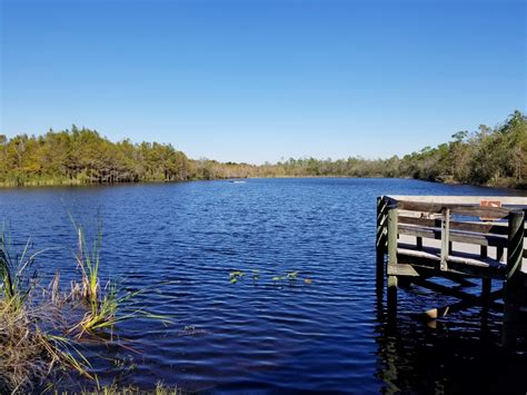 Six mile cypress slough preserve. Six Mile Cypress Slough Preserve in Lee County is an urban oasis where visitors have opportunities to watch otters swim, water moccasins basking in th … See more. 6,004 people like this. 6,371 people follow this. 53,210 … 