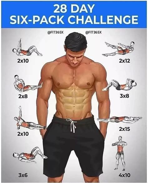 Download Sixpack Abs A Quick Concise Guide To Obtaining And Keeping Toned Abdominal Muscles By D Terry