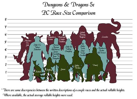 Size Chart D&d