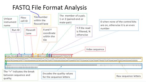 Size of fastq file. .  <a href=https://findlamp.ru/bfuo/taylor-funeral-homes...