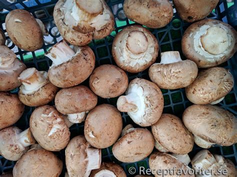 Sjuk av champinjoner