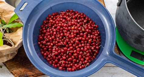 Skölj rabarberna  samt de.