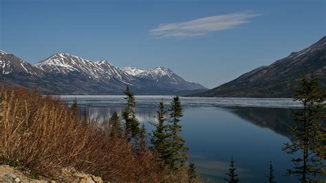 Skagway to Denali National Park and Preserve via train, car ferry, and bus