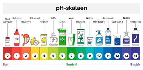 Skala  samt  disk kiwin.