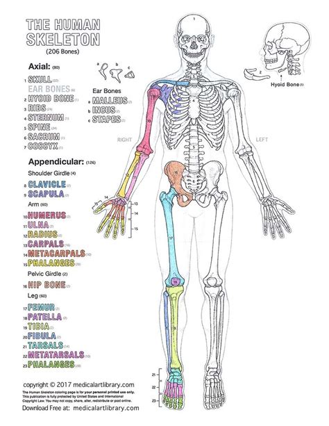 Beautiful Coloring Pages