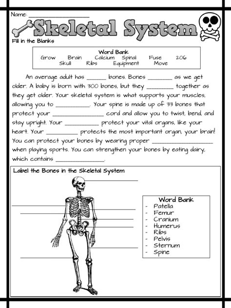 Skeletal System Worksheet Pdf Pin by theheadcasechristian On Education K 12 with Images in 2020