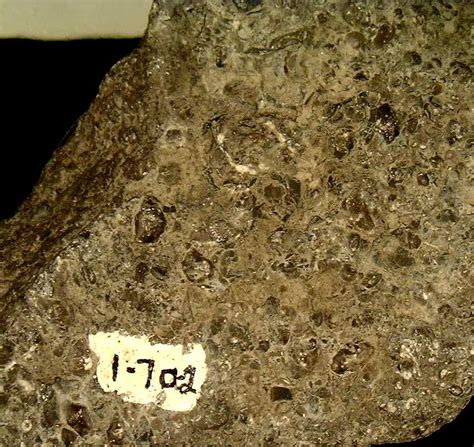 e. skeletal packstone/coquina f. conglomerate 15. Sample I is: a. rock gypsum b. chert c. mudstone/shale d. quartz sandstone e. skeletal packstone/coquina f. conglomerate 16. Sample J is: a. rock gypsum b. chert c. mudstone/shale d. quartz sandstone 