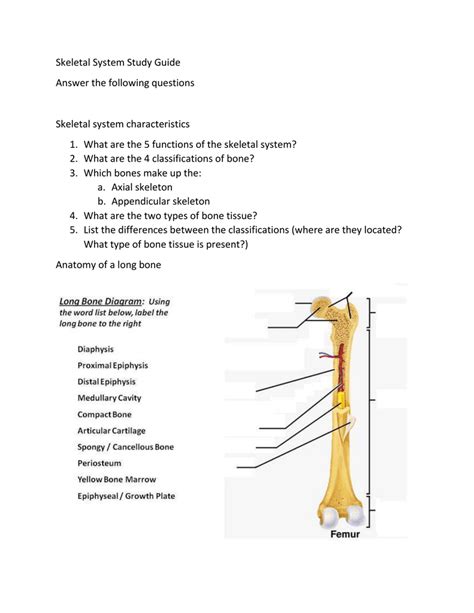 Skeletal system answers lab manual and ans. - Guidelines for pulmonary rehabilitation programs 4th edition.