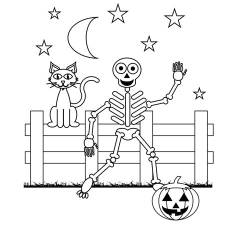 Anatomy Coloring Book Near Me