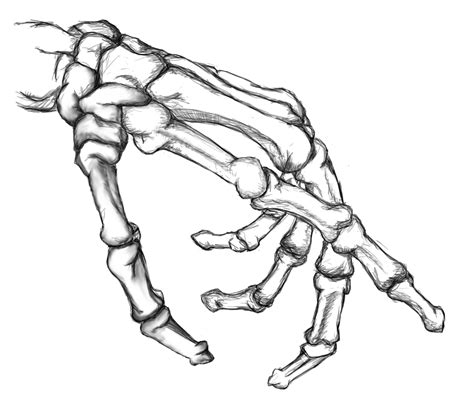 Skeleton Hand Reaching Drawing