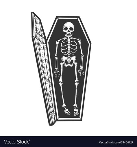 Skeleton In Coffin Drawing