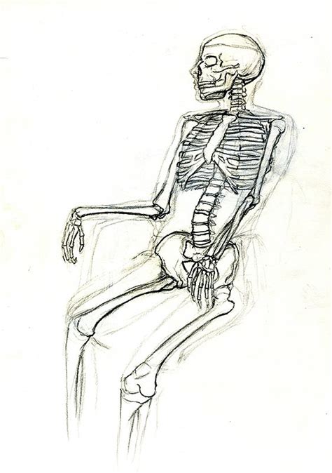 Skeleton Sitting Down Drawing