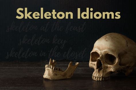 Skeleton idioms.  skeleton in the closet phrase.  Definition of skeleton i...