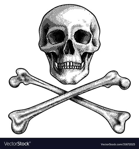 Sketch hand drawn human skull and crossbones Vector Image