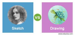 Sketch vs Drawing Top 5 Key Differences to Learn