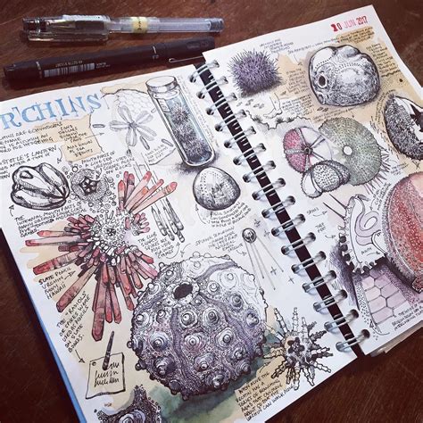 Sketchbook Drawing Ideas and Inspiration - The …