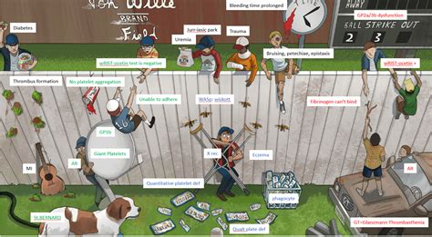 Sketchy path transcript.  I was a diehard Sketchy user.  What&rsquo;s everyone else&r...