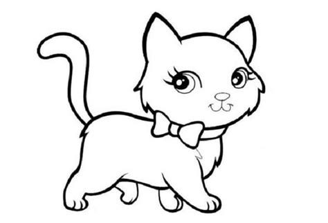 Sketsa gambar kucing kartun