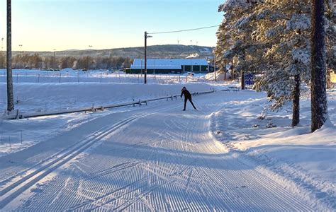 Skidsp&aring;ren d&auml;r hundar &auml;r v&auml;lkomna