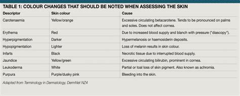 Skin assessment and the language of dermatology