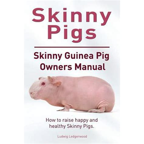 Read Skinny Guinea Pigs How To Raise Healthy And Happy Skinny Pigs Skinny Guinea Pig Owners Manual By Ludwig Ledgerwood