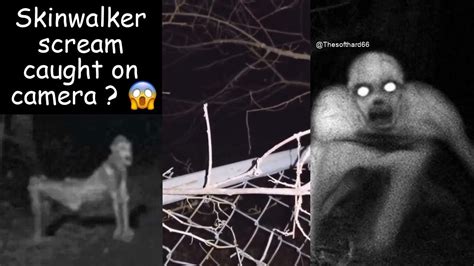 Skinwalker caught. By: Robert Lamb & Desiree Bowie | Updated: Oct 26, 2023. Anthropologist Clyde Kluckhohn described skinwalkers as secret witches (mostly … 