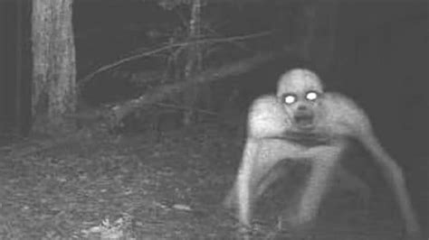 In the Navajo culture, a skinwalker reportedly is "a type of harmful witch who has the ability to turn into, possess, or disguise themselves as an animal." Videos Show Ohio Students in Lockdown .... 