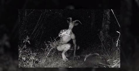 Skinwalker Stalks a Cowboy in Arizona and