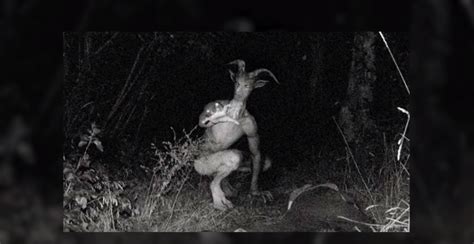 In Arizona, skinwalker have also been reported by