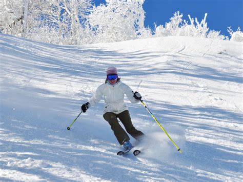 Skisugar. Sugar Mountain sits at a base elevation of 4,100 feet and climbs to a summit elevation of 5,300 feet. The ski area features 125 acres of skiable terrain across … 