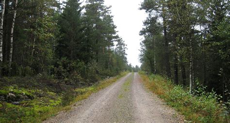 Skogsbilv&auml;gar - Skogsstyrelsen