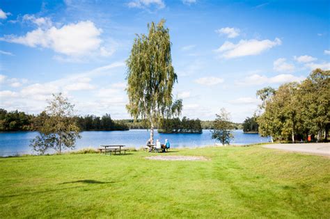 Skogsborgs vandrarhem