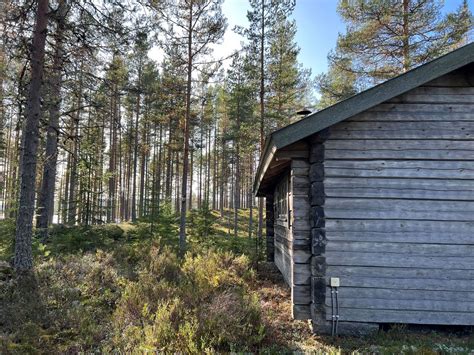 Skogsfastighet till salu