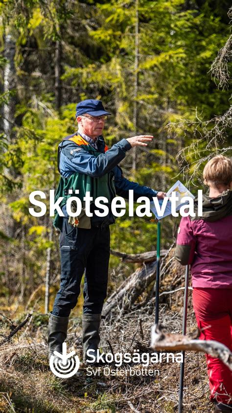 Skogsv&auml;g &ndash; Wikipedia