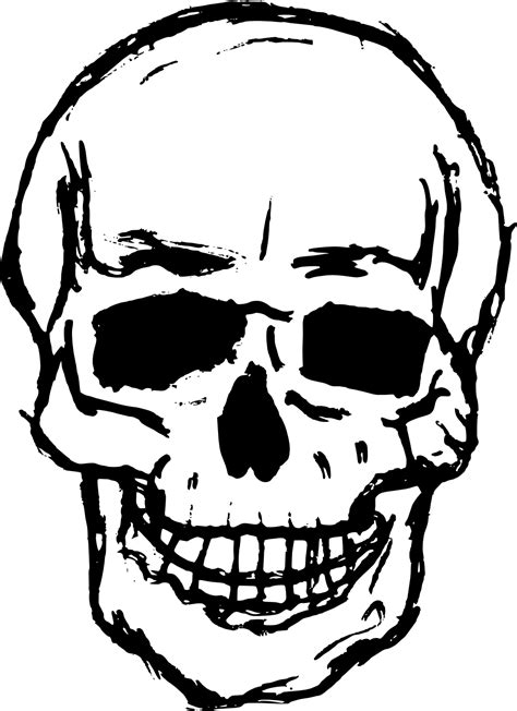 Step 2: Draw your eye sockets and nasal cavity. Draw in your eye sockets and the cavern where the nose would be. “The nice thing with the skull is that the nose just gets to be a big hole in the face,” says House. The bottom of the nasal cavity should hit right where the round upper half of the skull meets the lower portion. . Skull