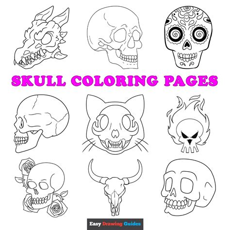 Skull Coloring Shee