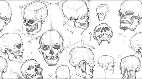 Skull Drawing Different Angles