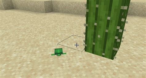 Skute Minecraft How to get and Uses