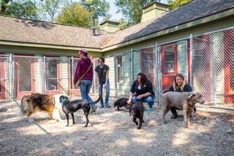 Skydance pet lodge. The great pet groomers at SkyDance Pet Lodge in Dousman WI has many years of experience, using gentle animal handling techniques to make the whole process comforting and easy going. From a velvety hair shampoo to a fresh trim and style complete with a mani/pedi, your furbaby will be turning heads any place you go … 
