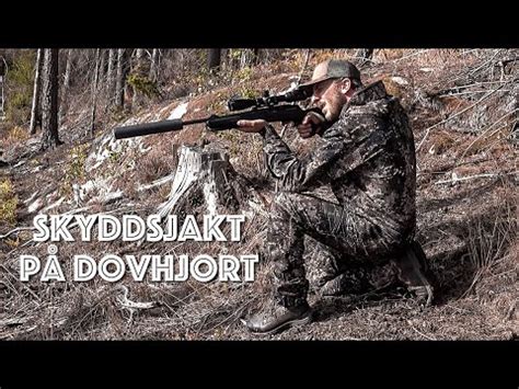 Skyddsjakt dovhjort
