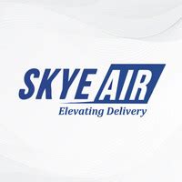 Skye Air Mobility Delhi