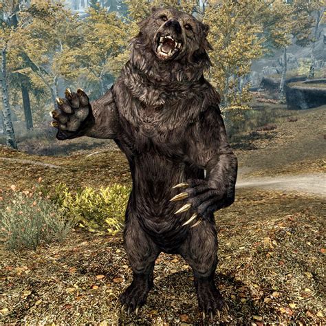 Skyrim bear pelt id. 1. vyvexthorne • 8 mo. ago. Probably just need to level up a bit, the higher your level the more populous they'll become. Snow bears start at level 20 and have 550 hp so once you reach level 20 they should become more prevalent. If on Pc you could use the console command player.placeatme 00023A8C Here are all the Bear ID's. 