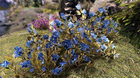 Skyrim blue mountain flower id. Blue Mountain Flower, Charred Skeever Hide, Mudcrab Chitin -- Value: 347. Blue Mountain Flower, Daedra Heart, Hanging Moss -- Value: 679. Blue Mountain Flower, Eye of Sabre Cat, Hanging Moss. Blue ... 
