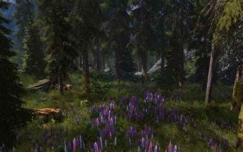 In Skyrimprefs.ini change fTreesMidLODSwitchDist=100000.0000 to fTreesMidLODSwitchDist=10000000.0000. for better lighting on the trees (less bright in the distance) Experiment with iMinGrassSize (in skyrim.ini). Higher values means better FPS and less grass. 20 works great on hi-end systems and will give you very lush grass.