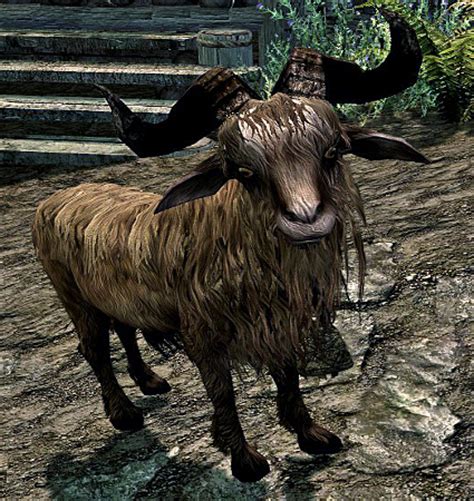 Skyrim goat horns id. To spawn this item in-game, open the console and type the following command: player.AddItem 0003AD74 1. To place this item in-front of your character, use the following console command: player.PlaceAtMe 0003AD74. 