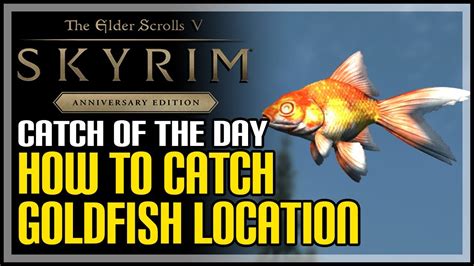 Skyrim goldfish. This guide provides details and tips for each quest. This is the first part of the complete Skyrim fishing guide, which includes Angler Acquaintances and Viriya’s Fishing Bounties. The next part includes the Fishing Challenges and the Radiant Bounties. Viriya proctors fishing bounties around Skyrim and has a questline for the player. 
