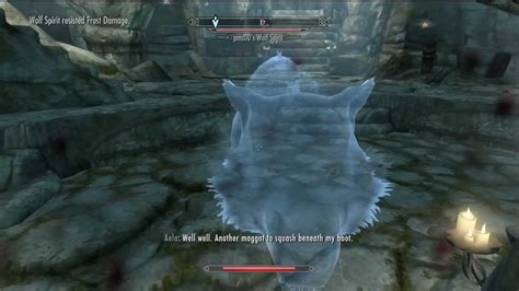 Skyrim:World Interactions. World interactions are random events that can occur as you explore Skyrim. Some events force your involvement, others need you to make the first move or they will just pass by, and some do not require your involvement to complete. All unnamed NPCs and animals involved in encounters are leveled unless stated.. 